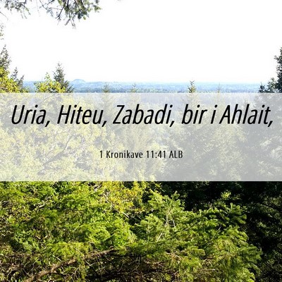 Picture 06 - 1 Kronikave 11:41 ALB - Uria, Hiteu, Zabadi, bir i - Bible Verse Picture