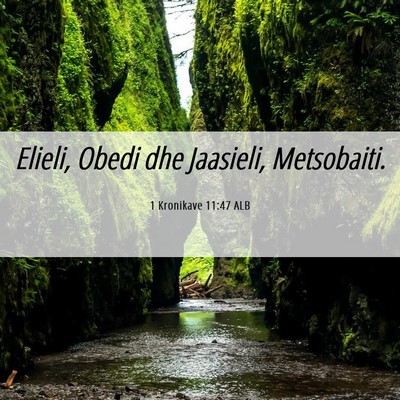 Picture 06 - 1 Kronikave 11:47 ALB - Elieli, Obedi dhe Jaasieli, - Bible Verse Picture