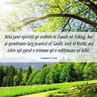 Picture 06 - 1 Kronikave 12:1 ALB - Këta janë njerëzit që erdhën te Davidi në - Bible Verse Picture