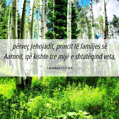 Picture 06 - 1 Kronikave 12:27 ALB - përveç Jehojadit, princit të familjes së - Bible Verse Picture