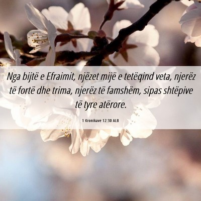 Picture 06 - 1 Kronikave 12:30 ALB - Nga bijtë e Efraimit, njëzet mijë e tetëqind - Bible Verse Picture