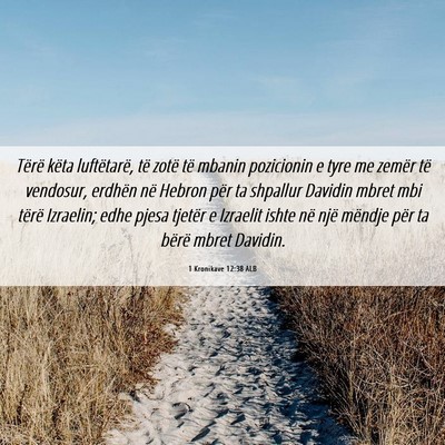Picture 06 - 1 Kronikave 12:38 ALB - Tërë këta luftëtarë, të zotë të mbanin - Bible Verse Picture
