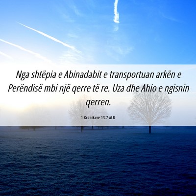 Picture 06 - 1 Kronikave 13:7 ALB - Nga shtëpia e Abinadabit e transportuan arkën e - Bible Verse Picture