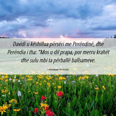 Picture 06 - 1 Kronikave 14:14 ALB - Davidi u këshillua përsëri me Perëndinë, dhe - Bible Verse Picture