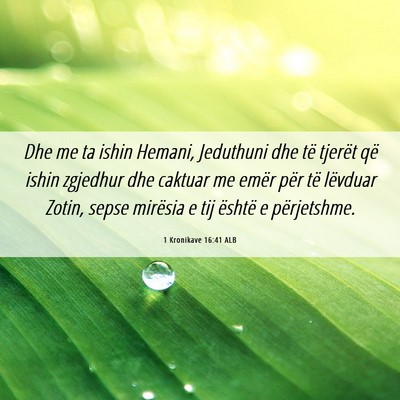 Picture 06 - 1 Kronikave 16:41 ALB - Dhe me ta ishin Hemani, Jeduthuni dhe të tjerët - Bible Verse Picture