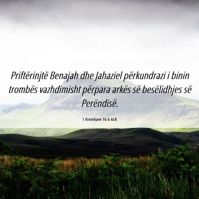 Picture 06 - 1 Kronikave 16:6 ALB - Priftërinjtë Benajah dhe Jahaziel përkundrazi - Bible Verse Picture