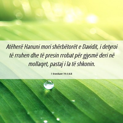 Picture 06 - 1 Kronikave 19:4 ALB - Atëherë Hanuni mori shërbëtorët e Davidit, i - Bible Verse Picture