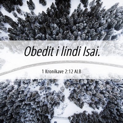 Picture 06 - 1 Kronikave 2:12 ALB - Obedit i lindi - Bible Verse Picture