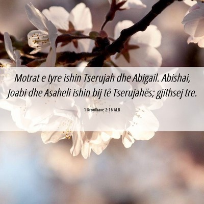 Picture 06 - 1 Kronikave 2:16 ALB - Motrat e tyre ishin Tserujah dhe Abigail. - Bible Verse Picture