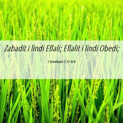 Picture 06 - 1 Kronikave 2:37 ALB - Zabadit i lindi Eflali; Eflalit i lindi - Bible Verse Picture