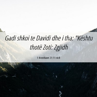 Picture 06 - 1 Kronikave 21:11 ALB - Gadi shkoi te Davidi dhe i tha: 