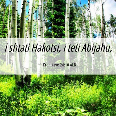 Picture 06 - 1 Kronikave 24:10 ALB - i shtati Hakotsi, i teti - Bible Verse Picture