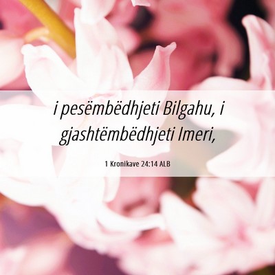 Picture 06 - 1 Kronikave 24:14 ALB - i pesëmbëdhjeti Bilgahu, i gjashtëmbëdhjeti - Bible Verse Picture