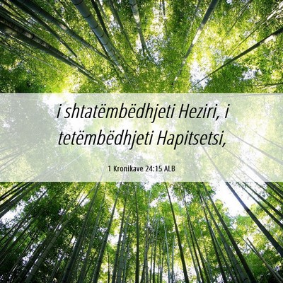 Picture 06 - 1 Kronikave 24:15 ALB - i shtatëmbëdhjeti Heziri, i tetëmbëdhjeti - Bible Verse Picture
