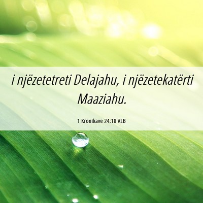 Picture 06 - 1 Kronikave 24:18 ALB - i njëzetetreti Delajahu, i njëzetekatërti - Bible Verse Picture