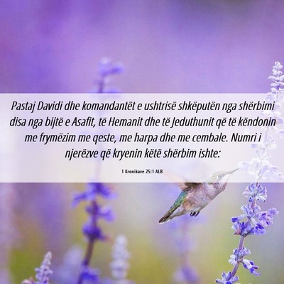 Picture 06 - 1 Kronikave 25:1 ALB - Pastaj Davidi dhe komandantët e ushtrisë - Bible Verse Picture