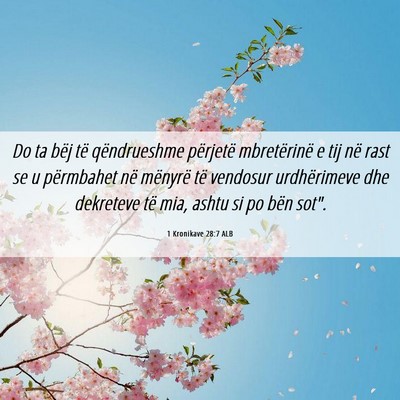 Picture 06 - 1 Kronikave 28:7 ALB - Do ta bëj të qëndrueshme përjetë - Bible Verse Picture