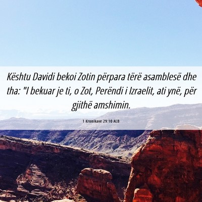 Picture 06 - 1 Kronikave 29:10 ALB - Kështu Davidi bekoi Zotin përpara tërë - Bible Verse Picture