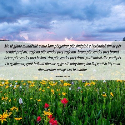 Picture 06 - 1 Kronikave 29:2 ALB - Me të gjitha mundësitë e mia kam përgatitur - Bible Verse Picture