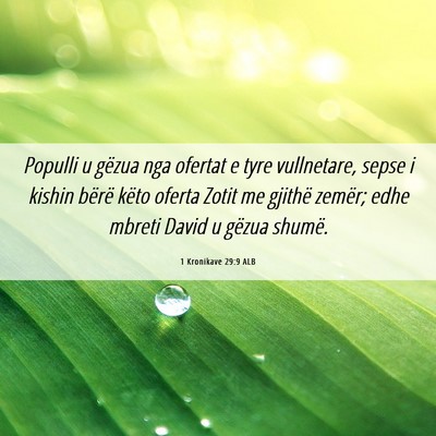 Picture 06 - 1 Kronikave 29:9 ALB - Populli u gëzua nga ofertat e tyre vullnetare, - Bible Verse Picture