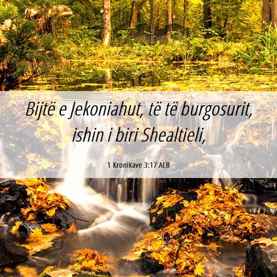 Picture 06 - 1 Kronikave 3:17 ALB - Bijtë e Jekoniahut, të të burgosurit, ishin i - Bible Verse Picture