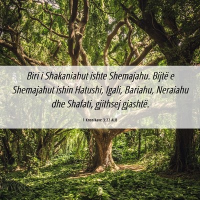 Picture 06 - 1 Kronikave 3:22 ALB - Biri i Shakaniahut ishte Shemajahu. Bijtë e - Bible Verse Picture