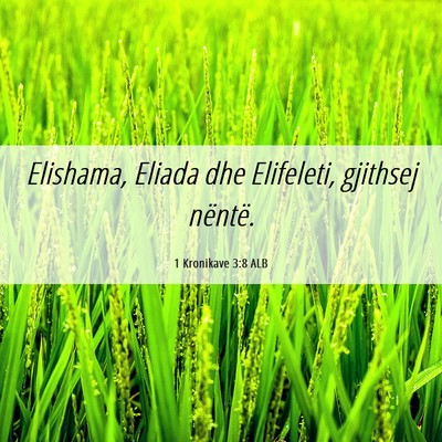 Picture 06 - 1 Kronikave 3:8 ALB - Elishama, Eliada dhe Elifeleti, gjithsej - Bible Verse Picture