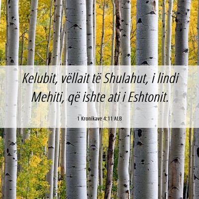 Picture 06 - 1 Kronikave 4:11 ALB - Kelubit, vëllait të Shulahut, i lindi Mehiti, - Bible Verse Picture