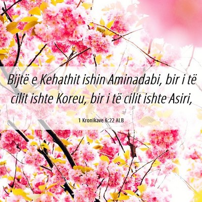 Picture 06 - 1 Kronikave 6:22 ALB - Bijtë e Kehathit ishin Aminadabi, bir i të - Bible Verse Picture