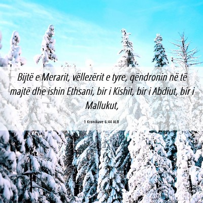 Picture 06 - 1 Kronikave 6:44 ALB - Bijtë e Merarit, vëllezërit e tyre, qëndronin - Bible Verse Picture