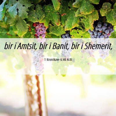 Picture 06 - 1 Kronikave 6:46 ALB - bir i Amtsit, bir i Banit, bir i - Bible Verse Picture