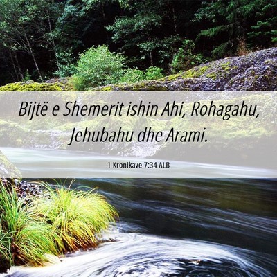 Picture 06 - 1 Kronikave 7:34 ALB - Bijtë e Shemerit ishin Ahi, Rohagahu, Jehubahu - Bible Verse Picture