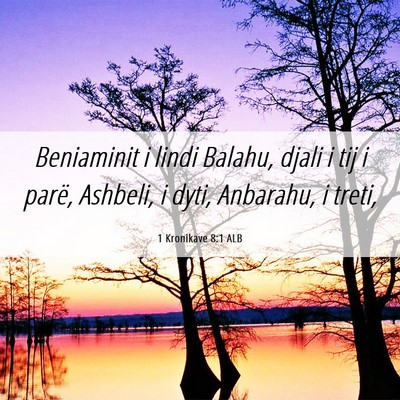Picture 06 - 1 Kronikave 8:1 ALB - Beniaminit i lindi Balahu, djali i tij i parë, - Bible Verse Picture
