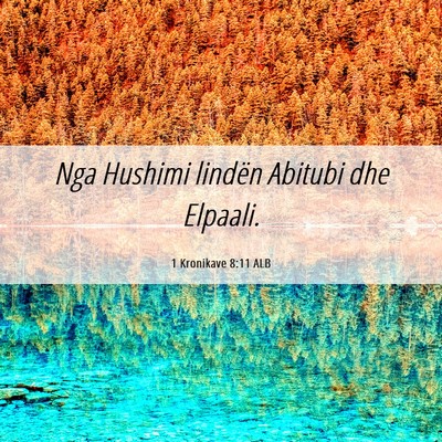 Picture 06 - 1 Kronikave 8:11 ALB - Nga Hushimi lindën Abitubi dhe - Bible Verse Picture