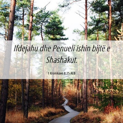 Picture 06 - 1 Kronikave 8:25 ALB - Ifdejahu dhe Penueli ishin bijtë e - Bible Verse Picture