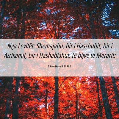 Picture 06 - 1 Kronikave 9:14 ALB - Nga Levitët: Shemajahu, bir i Hasshubit, bir i - Bible Verse Picture