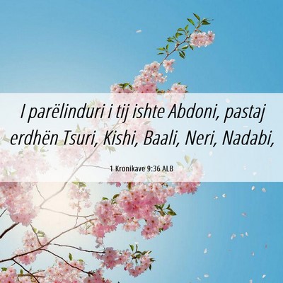 Picture 06 - 1 Kronikave 9:36 ALB - I parëlinduri i tij ishte Abdoni, pastaj erdhën - Bible Verse Picture