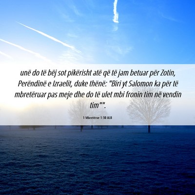 Picture 06 - 1 Mbretërve 1:30 ALB - unë do të bëj sot pikërisht atë që të jam - Bible Verse Picture