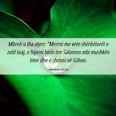 Picture 06 - 1 Mbretërve 1:33 ALB - Mbreti u tha atyre: 