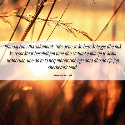 Picture 06 - 1 Mbretërve 11:11 ALB - Prandaj Zoti i tha Salomonit: 