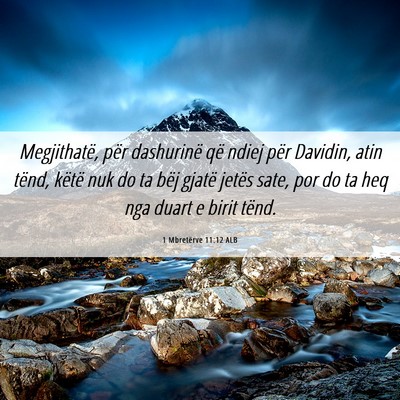 Picture 06 - 1 Mbretërve 11:12 ALB - Megjithatë, për dashurinë që ndiej për - Bible Verse Picture