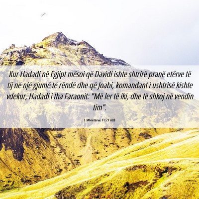Picture 06 - 1 Mbretërve 11:21 ALB - Kur Hadadi në Egjipt mësoi që Davidi ishte - Bible Verse Picture