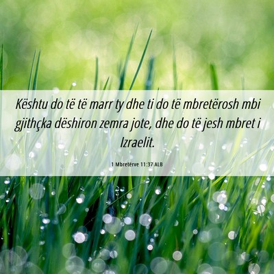 Picture 06 - 1 Mbretërve 11:37 ALB - Kështu do të të marr ty dhe ti do të - Bible Verse Picture