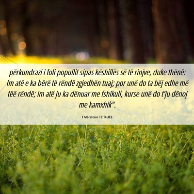 Picture 06 - 1 Mbretërve 12:14 ALB - përkundrazi i foli popullit sipas këshillës - Bible Verse Picture