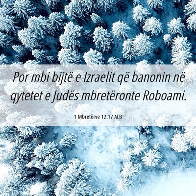 Picture 06 - 1 Mbretërve 12:17 ALB - Por mbi bijtë e Izraelit që banonin në qytetet - Bible Verse Picture