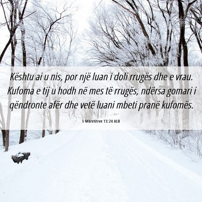 Picture 06 - 1 Mbretërve 13:24 ALB - Kështu ai u nis, por një luan i doli rrugës - Bible Verse Picture
