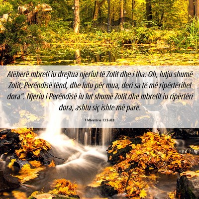 Picture 06 - 1 Mbretërve 13:6 ALB - Atëherë mbreti iu drejtua njeriut të Zotit dhe - Bible Verse Picture