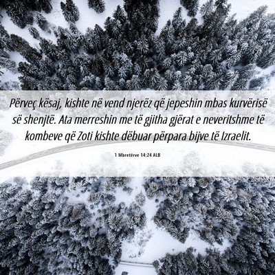 Picture 06 - 1 Mbretërve 14:24 ALB - Përveç kësaj, kishte në vend njerëz që - Bible Verse Picture