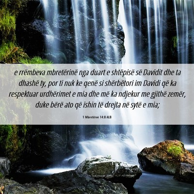 Picture 06 - 1 Mbretërve 14:8 ALB - e rrëmbeva mbretërinë nga duart e shtëpisë - Bible Verse Picture