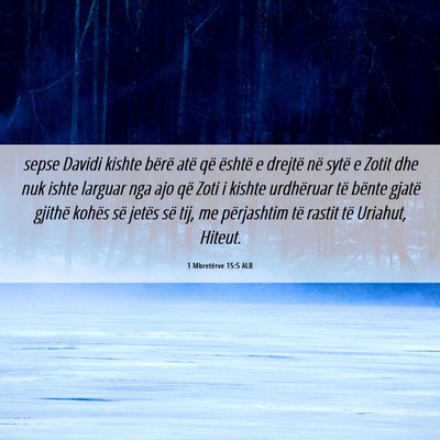 Picture 06 - 1 Mbretërve 15:5 ALB - sepse Davidi kishte bërë atë që është e - Bible Verse Picture